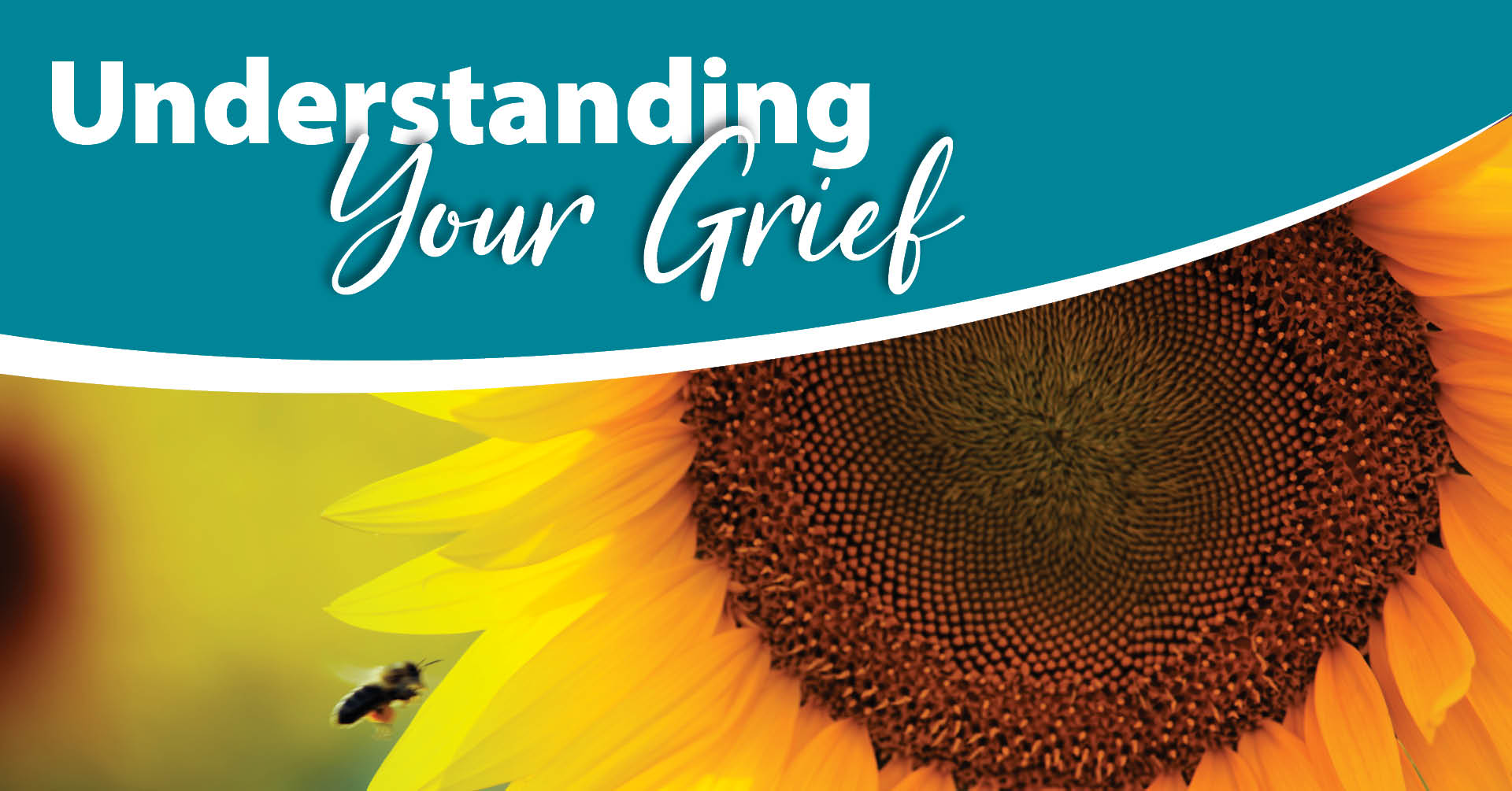 Understanding Your Grief